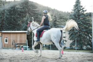 indemnisation equitation avec un avocat spécialiste droit a la personne