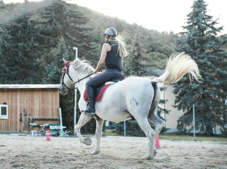 indemnisation equitation avec un avocat spécialiste droit a la personne